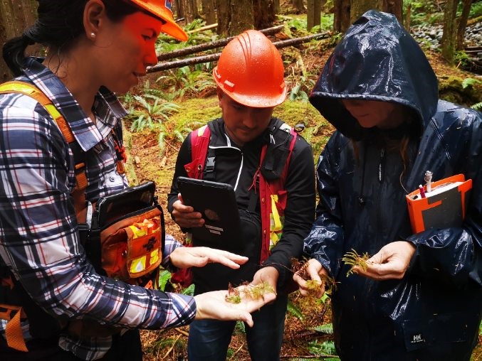 Wei Wai Kum Guardian program completing forest surveys