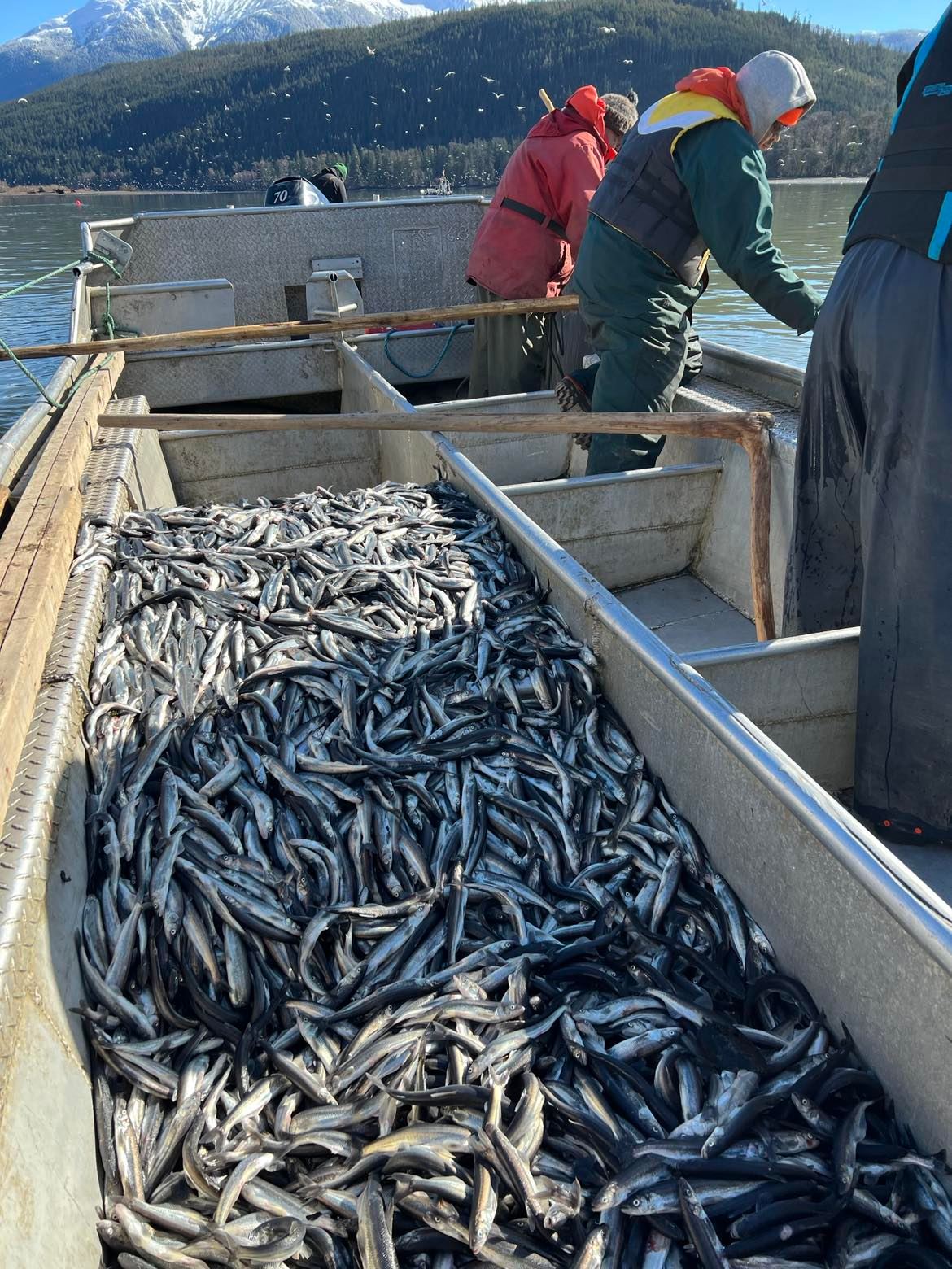 2021 Nisga'a Fisheries and Wildlife Department staff working in the field.