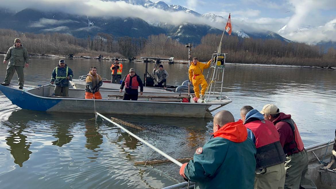 Nisga'a Fisheries and Wildlife Department staff working on a juvenile coho salmon fence.