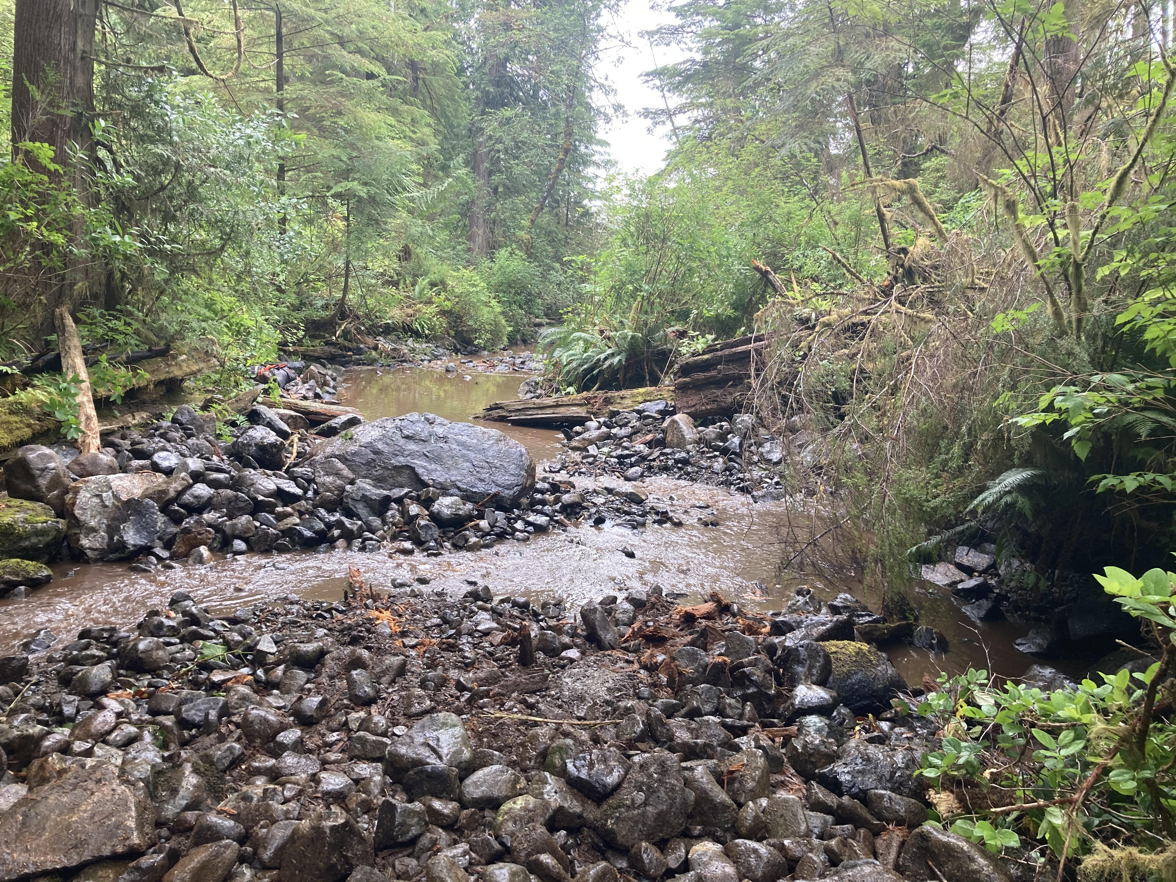 Anderson Creek after restoration