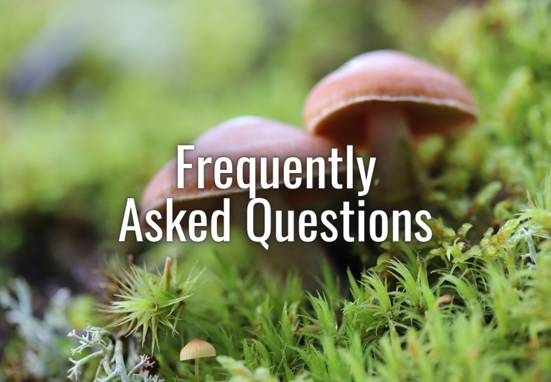 Frequently Asked Questions