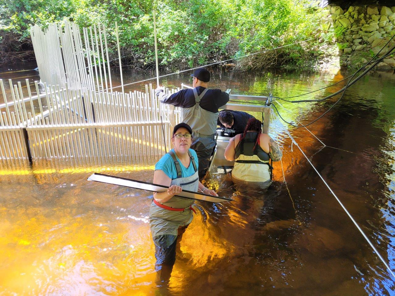 Installation of Fulmore River Fish Counting Fence