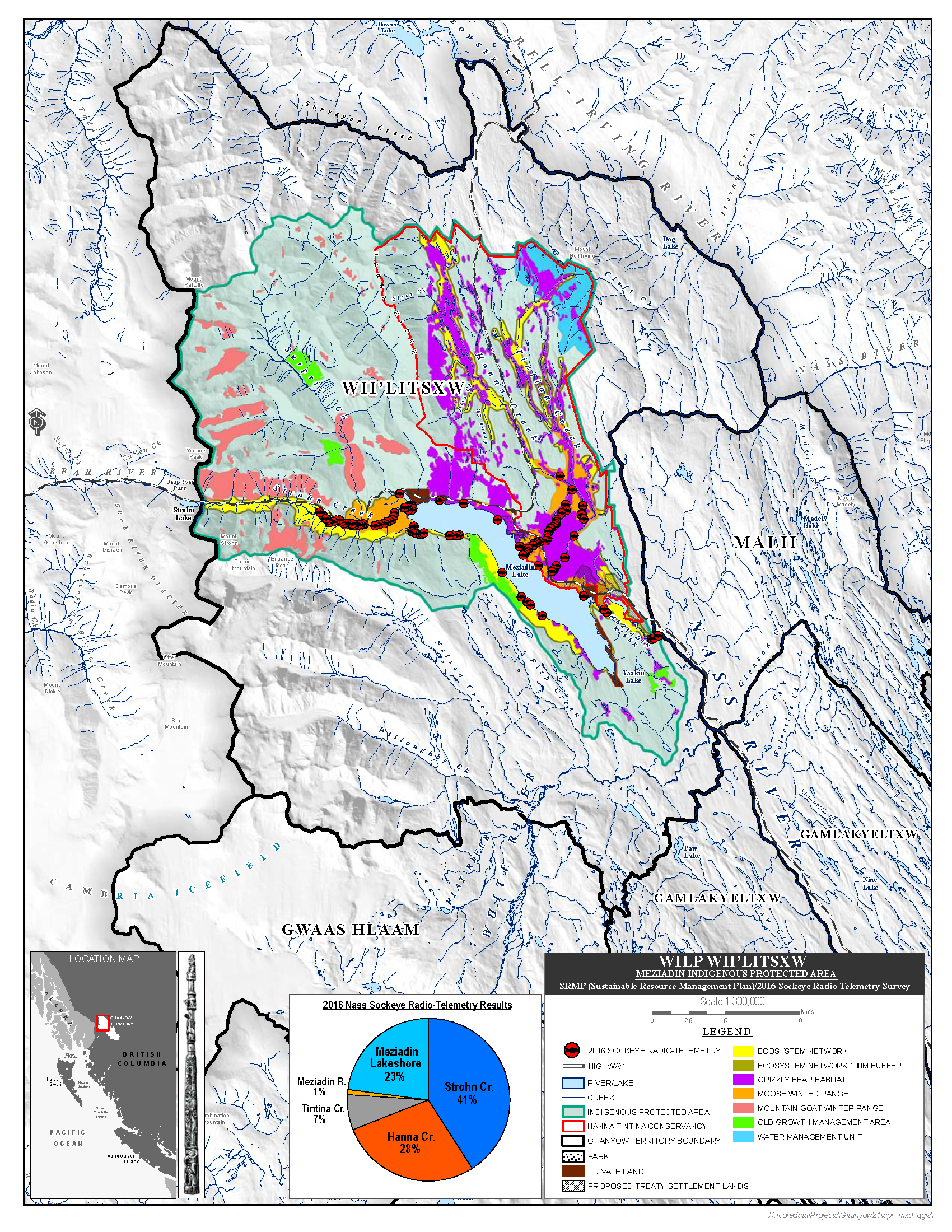 Wilp Wii'litsxw Meziadin Indigenous Protected Area Plus SRMP Data and Radio Telemetry 2021