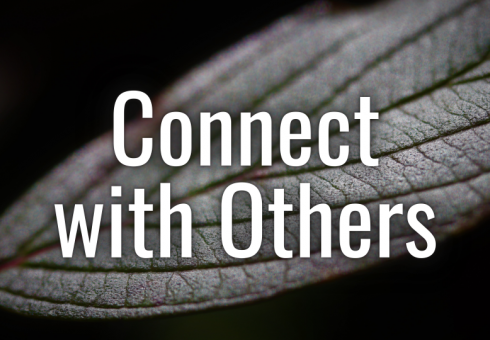 Connect with Others