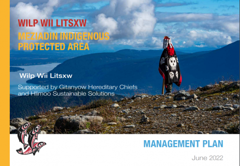 Wild Wii Litsxw - Meziadin Indigenous Protected Area - Management Plan