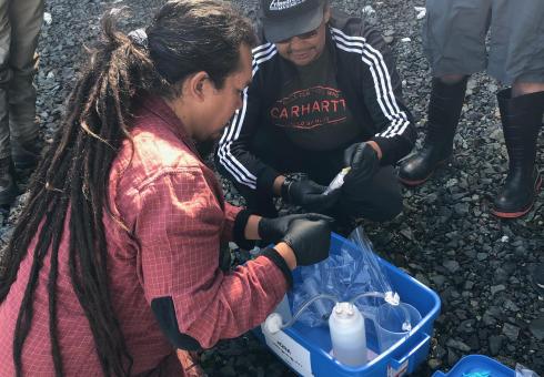 NSMA Kelp sampling