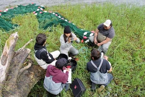 Ahousaht Guardians conducting sea lice surveys. Photo Credit: Danny O'Farrell