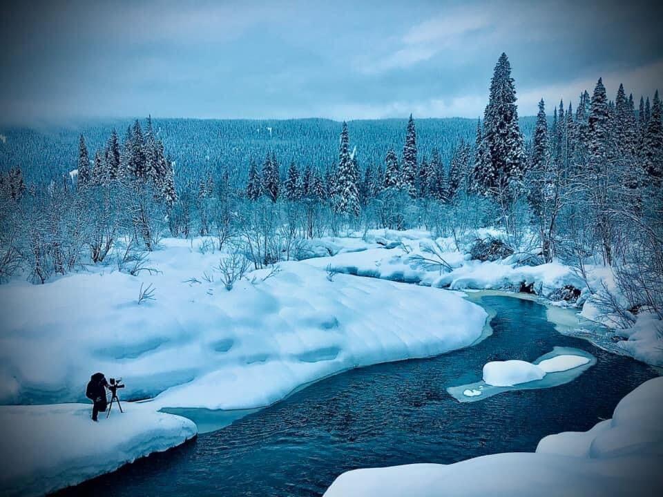 winter scene