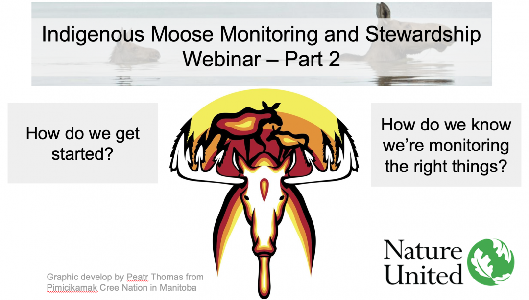 Indigenous Guardians Moose Monitoring and Stewardship