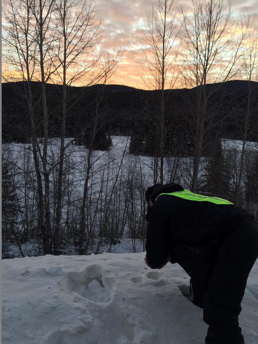 Lax'yip Guardian collecting evidence at site of illegal cow harvest, Wilp Gamlakyeltxw, Frog Clan. Gitanyow Lax'yip